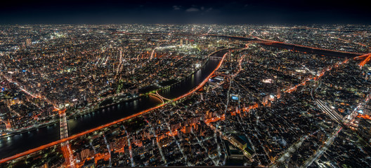 Panoramic aerial view of Tokyo Skyline by night