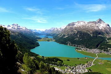Widok górskich jezior w szwajcarskich alpach w Silvaplana - obrazy, fototapety, plakaty