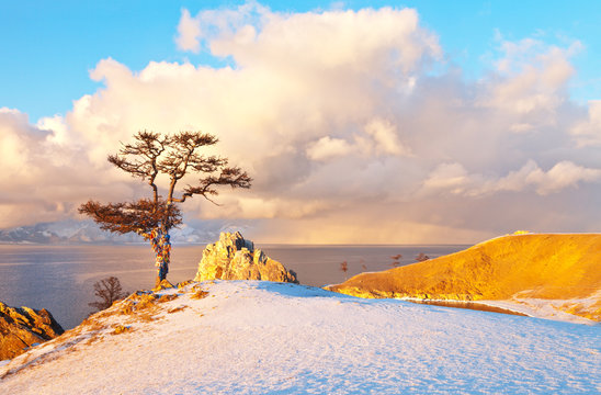 Baikal Lake in December at sunset. Olkhon Island. Multi-colored ribbons are tied on Wish Tree, snowy clouds are over the Small Sea Strait. Magnificent winter landscape, natural background
