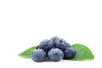 blueberries isolated on white background