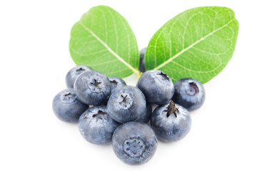 blueberries isolated on white background