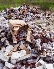 Rotten strawberries on the landfill