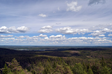 Obraz premium Aerial.Forest on a summer day in Central Norway. Sweden on the horizon