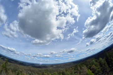 Aerial.Forest on a summer day in Central Norway. Sweden on the horizon