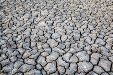 Cracked dry ground.