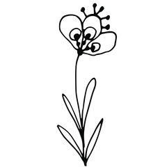 Hand drawn creative flower.  White background. Ink doodle illustration. Hand-drawn vintage, minimalistic black flower. Beautiful vector illustration.