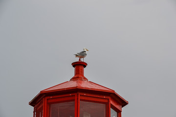 A grey and white seagull with a yellow beak stands on top of a red lighthouse looking out across harbour on a dark and cloudy day.