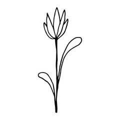 Fototapeta na wymiar Hand drawn creative flower. White background. Ink doodle illustration. Hand-drawn vintage, minimalistic black flower. Beautiful vector illustration.