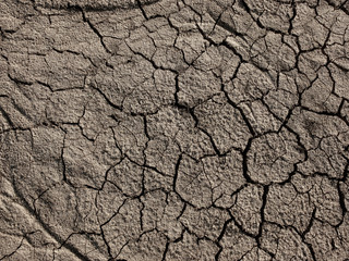 Dry cracked ground surface 