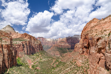 Canyon Overlook Zion National Park