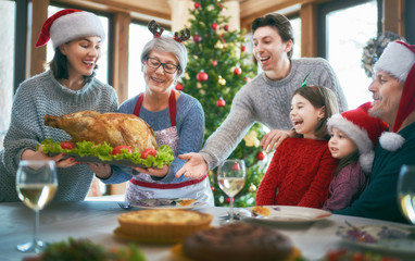 family celebrating Christmas
