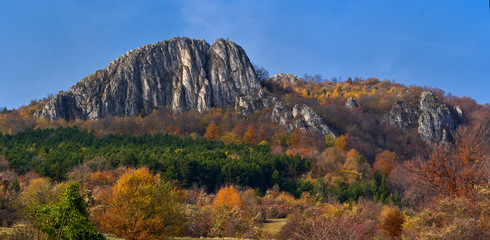 Mountains and forests