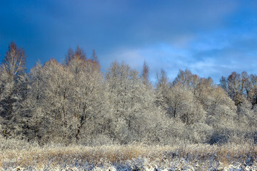 Severe frost covered the trees and grass with hoarfrost. Rapid cooling.