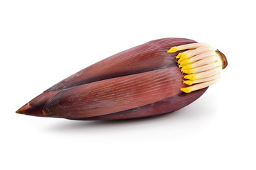 Blossom banana and Banana inflorescence isolated on white background.Medicinal plants for cooking which has Useful to the body.