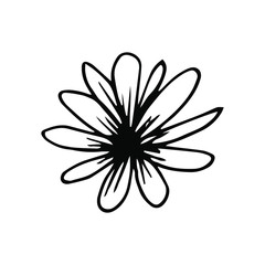 Fototapeta na wymiar Hand drawn creative flower. White background. Ink doodle illustration. Hand-drawn vintage, minimalistic black flower. Beautiful vector illustration.