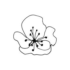 Hand drawn creative flower.  White background. Ink doodle illustration. Hand-drawn vintage, minimalistic black flower. Beautiful vector illustration.