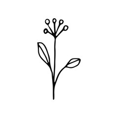 Hand drawn creative flower.  White background. Ink doodle illustration. Hand-drawn vintage, minimalistic black flower. Beautiful vector illustration.