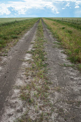 Fototapeta na wymiar Northern Territory Top End dirt track 