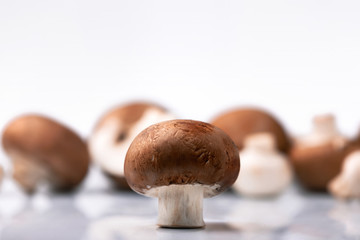brown mushroom fresh, appetizing champignon on a background of blurry mushrooms