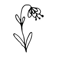 Hand drawn creative flower.  White background. Ink doodle illustration. Hand-drawn vintage, minimalistic black flower. Beautiful vector illustration.