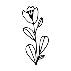 Hand drawn creative flower.  White background. Ink doodle illustration. Hand-drawn vintage, minimalistic black flower. Beautiful vector illustration.