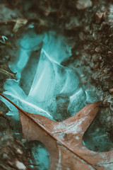 Frost is here. The beauty of the frozen nature.