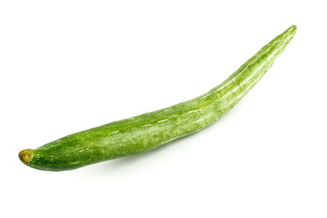 Snake gourd, Serpent gourd, Chichinda, Trichosanthes anguina Linn or cucumerina Isolated on white background. food ingredient and Healthy food for slow down aging