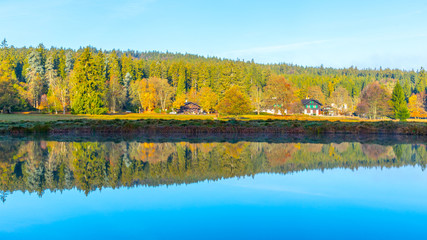 Trees reflected in the pond. Kladska peat bog National Reserve near Marianske Lazne, Czech Republic