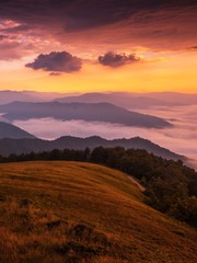 fairy sunrise mist scenery in mountains, picturesque foggy morning photo with green trees on hill, nice summer vertical European landscape, Carpathian sunrise mountains, Europe , Ukraine mountains