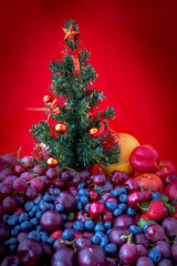 Xmas tree with summer season fruits in Australia