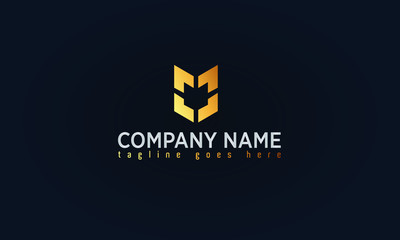 Company Gold Logo Design, Luxury Gold Concept Logo,