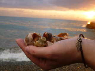 sunset on the Black sea