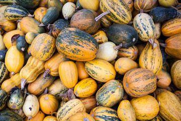 Pile of pumpkins (gourds)