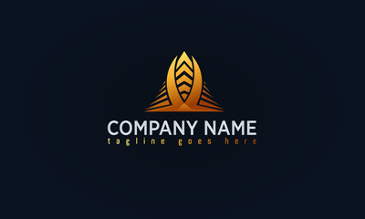 Company Gold Logo Design, Luxury Gold Concept Logo,