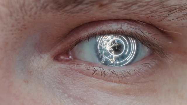 Animation 3d Recognition Scanning Of The Face Eye Of Man Or Woman. Facial Recognition Protection And Scan Safety. Future Sci-fi Animation , Security, Scanning And Password Banking Access.