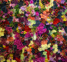Obraz na płótnie Canvas Various color flower background wall