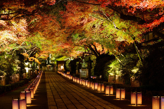石山寺 の画像 481 件の Stock 写真 ベクターおよびビデオ Adobe Stock