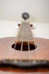 Fototapeta premium Uke R Crazy