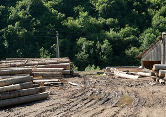 Sawmill in the forest.