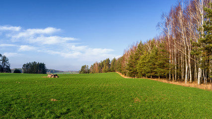 Krajobraz Podlasia, Wzgórza Sokólskie, Jesień na Podlasiu © podlaski49
