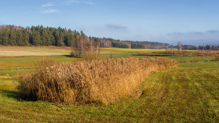 Krajobraz Podlasia, Wzgórza Sokólskie, Jesień na Podlasiu © podlaski49