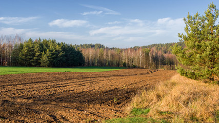 Krajobraz Podlasia, Wzgórza Sokólskie, Jesień na Podlasiu © podlaski49