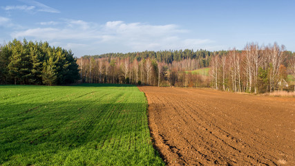 Krajobraz Podlasia, Wzgórza Sokólskie, Jesień na Podlasiu © podlaski49