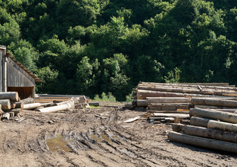 Sawmill in the forest.