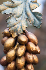 Metal grapes bunch and leaf. Forged ornament.