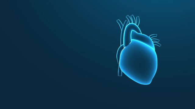 Human Heart  Beating X ray,video animation on  blue background.