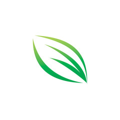 leaf line color logo design