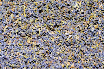 Dried lavender background. Beautiful purple lavender texture. 