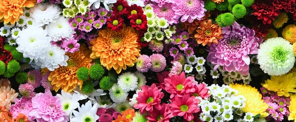  Bloemen muur achtergrond met verbazingwekkende rode, oranje, roze, paarse, groene en witte chrysant bloemen, bruiloft decoratie, handgemaakte mooie bloem muur achtergrond © Basicmoments
