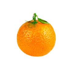 tangerine mandarin orange single fruit isolated on white